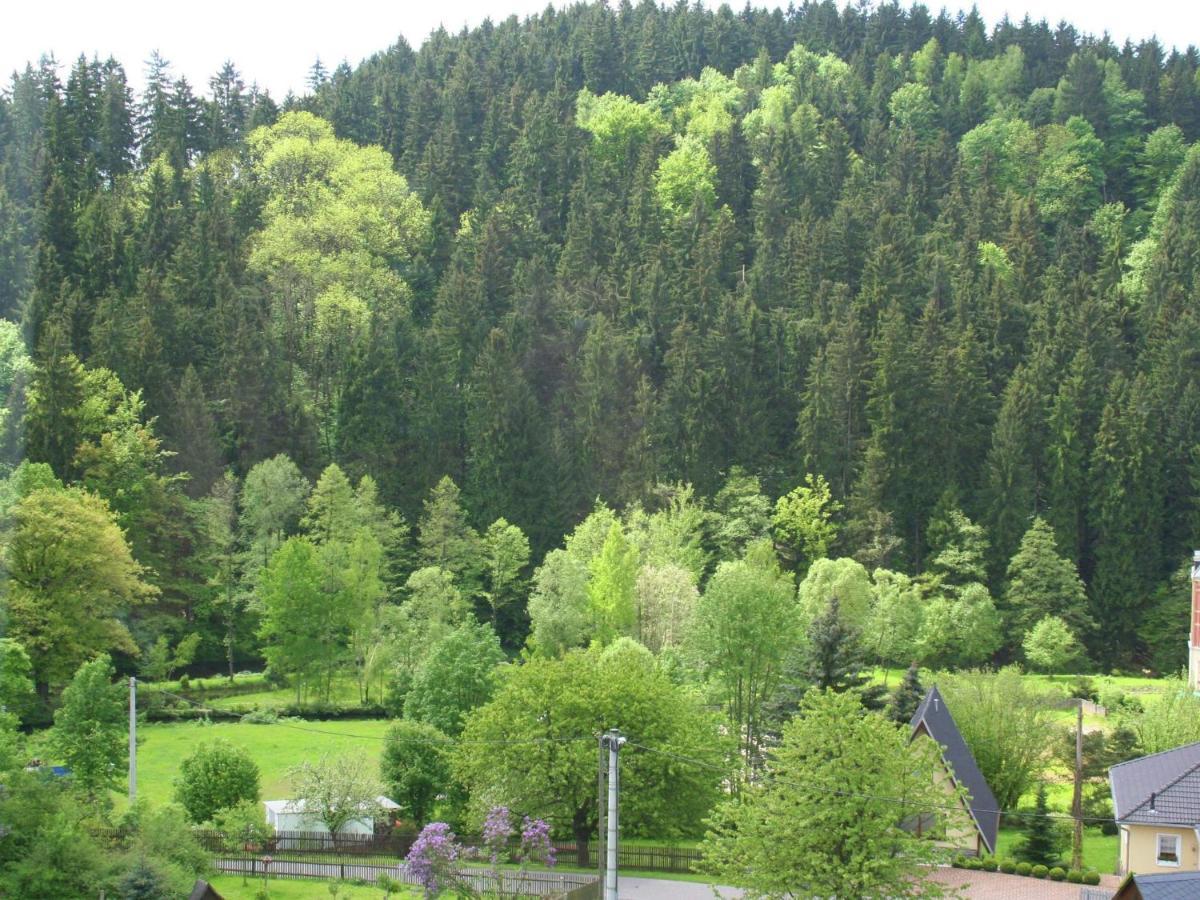 Exclusive Apartment In The Beautiful Ore Mountains Leubsdorf Экстерьер фото